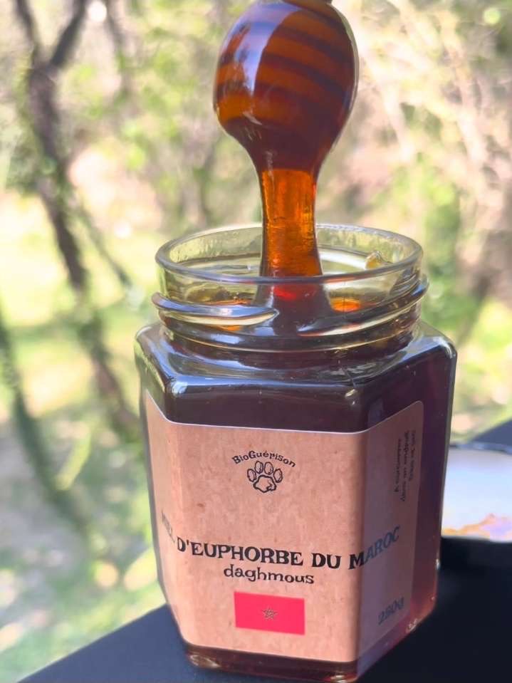 Alternative view of Miel d'euphorbe du Maroc